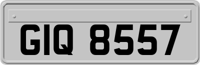 GIQ8557