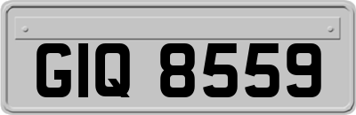 GIQ8559