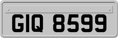 GIQ8599