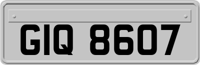 GIQ8607