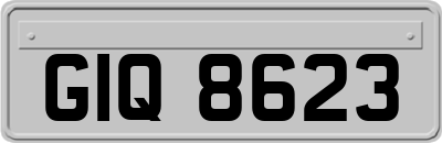 GIQ8623