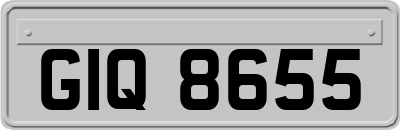GIQ8655