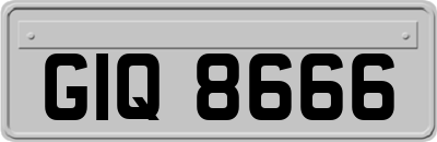 GIQ8666