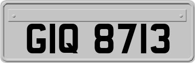 GIQ8713