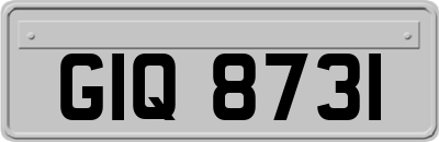GIQ8731