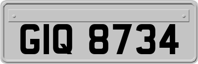 GIQ8734