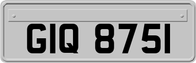 GIQ8751