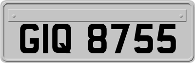 GIQ8755
