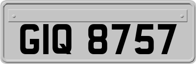 GIQ8757