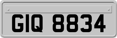 GIQ8834
