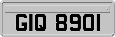 GIQ8901