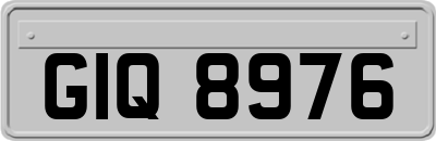 GIQ8976