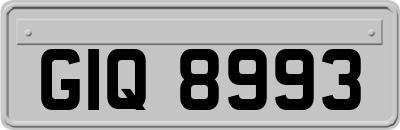 GIQ8993