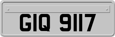 GIQ9117