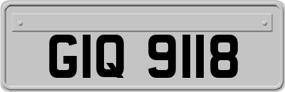 GIQ9118