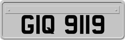 GIQ9119