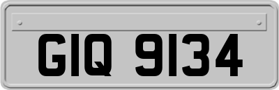 GIQ9134