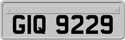 GIQ9229