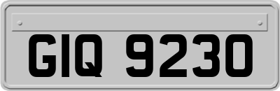 GIQ9230