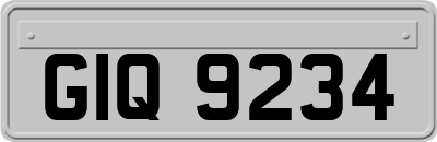 GIQ9234