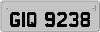 GIQ9238
