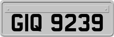 GIQ9239