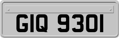 GIQ9301