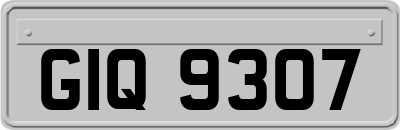 GIQ9307