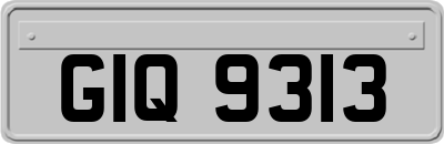 GIQ9313
