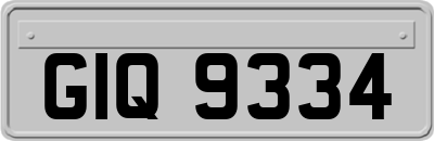 GIQ9334
