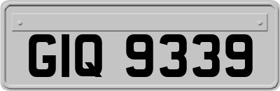GIQ9339