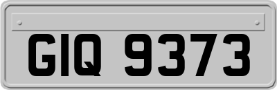 GIQ9373