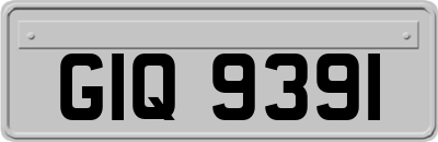 GIQ9391