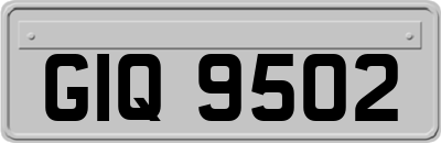 GIQ9502