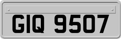 GIQ9507