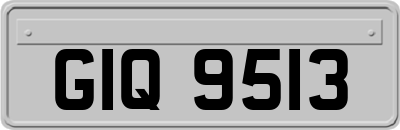 GIQ9513