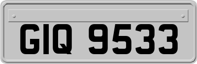 GIQ9533
