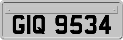 GIQ9534