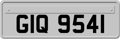 GIQ9541