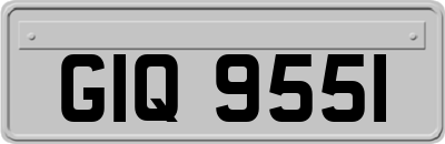 GIQ9551