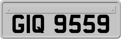 GIQ9559