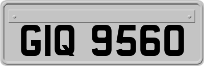 GIQ9560