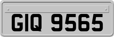 GIQ9565