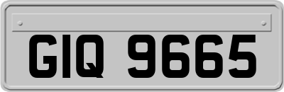 GIQ9665