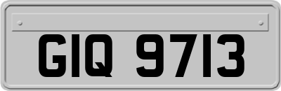 GIQ9713