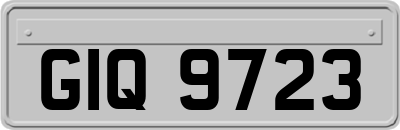 GIQ9723