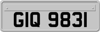 GIQ9831