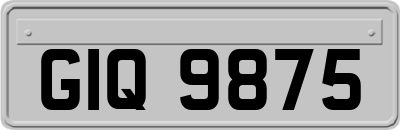 GIQ9875