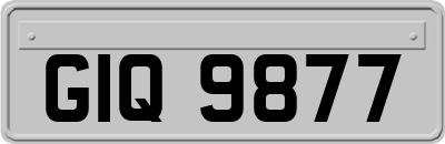 GIQ9877