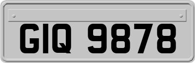 GIQ9878